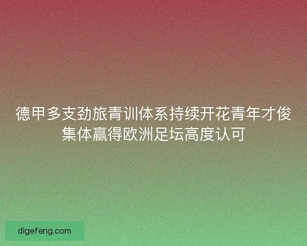 德甲多支劲旅青训体系持续开花青年才俊集体赢得欧洲足坛高度认可